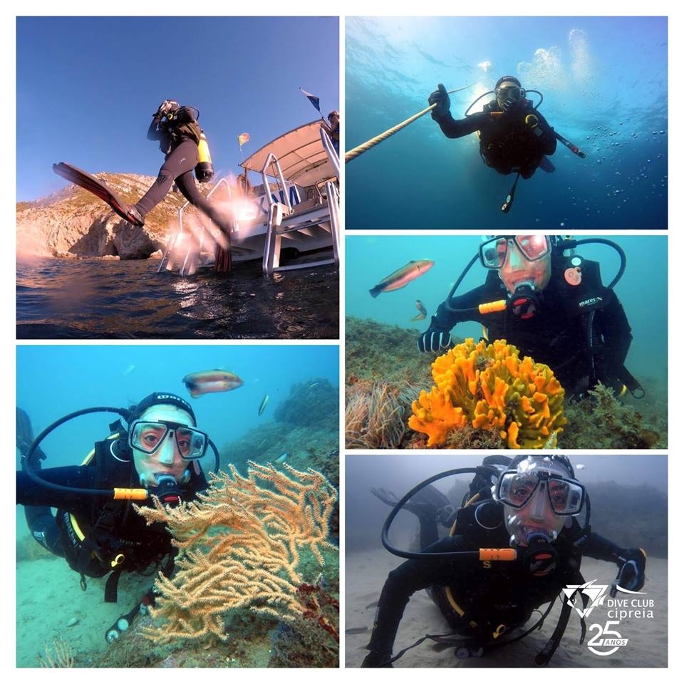 Scuba diving Lagos - Albufeira Boat Trips